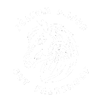 Sólyom Major – Gut Falkenhof